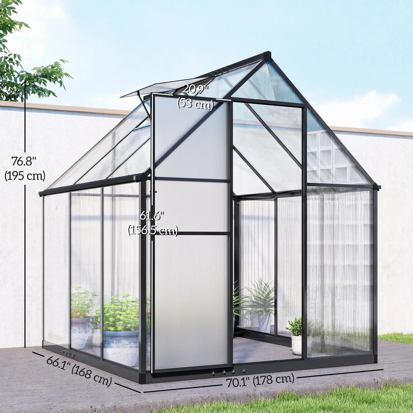 Polycarbonate Greenhouse, Swing Door, Adjustable Window, 6 x 6.5ft, Black Walk In Greenhouses at Gallery Canada