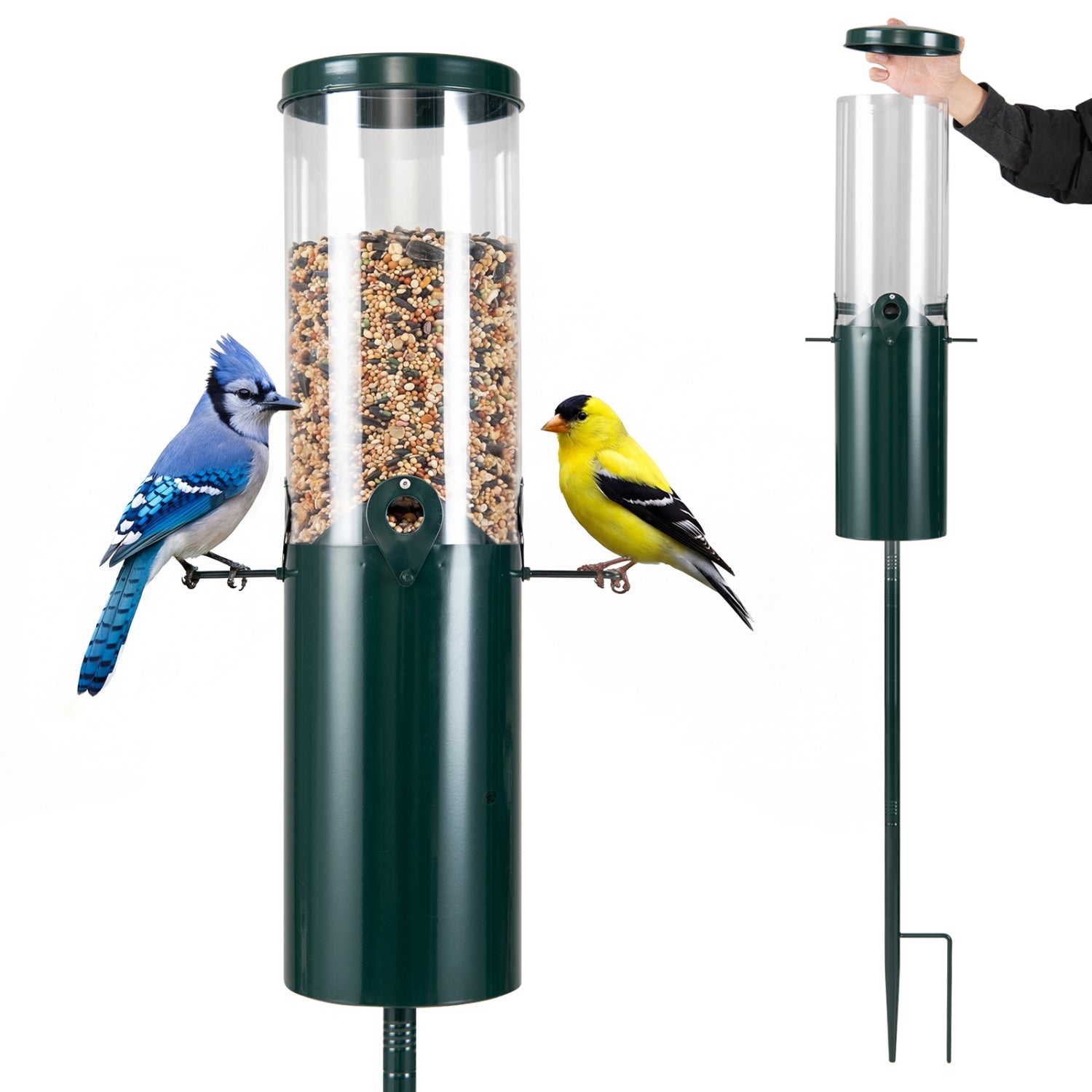 10 LBS Squirrel Proof Bird Feeder, Pole Mount And Baffle, Green Bird Supplies Green at Gallery Canada