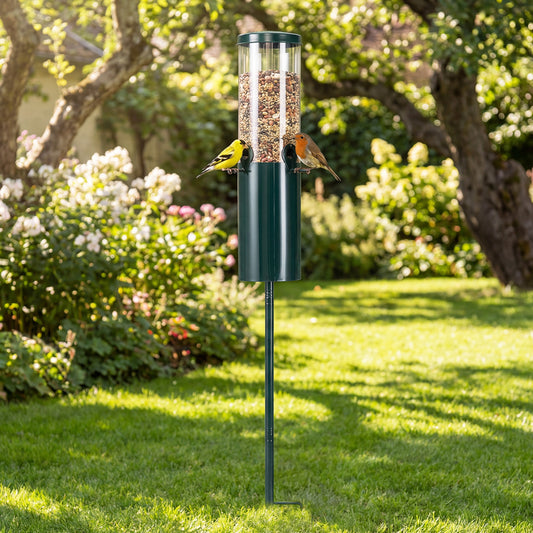 10 LBS Squirrel Proof Bird Feeder, Pole Mount And Baffle, Green Bird Supplies Green at Gallery Canada