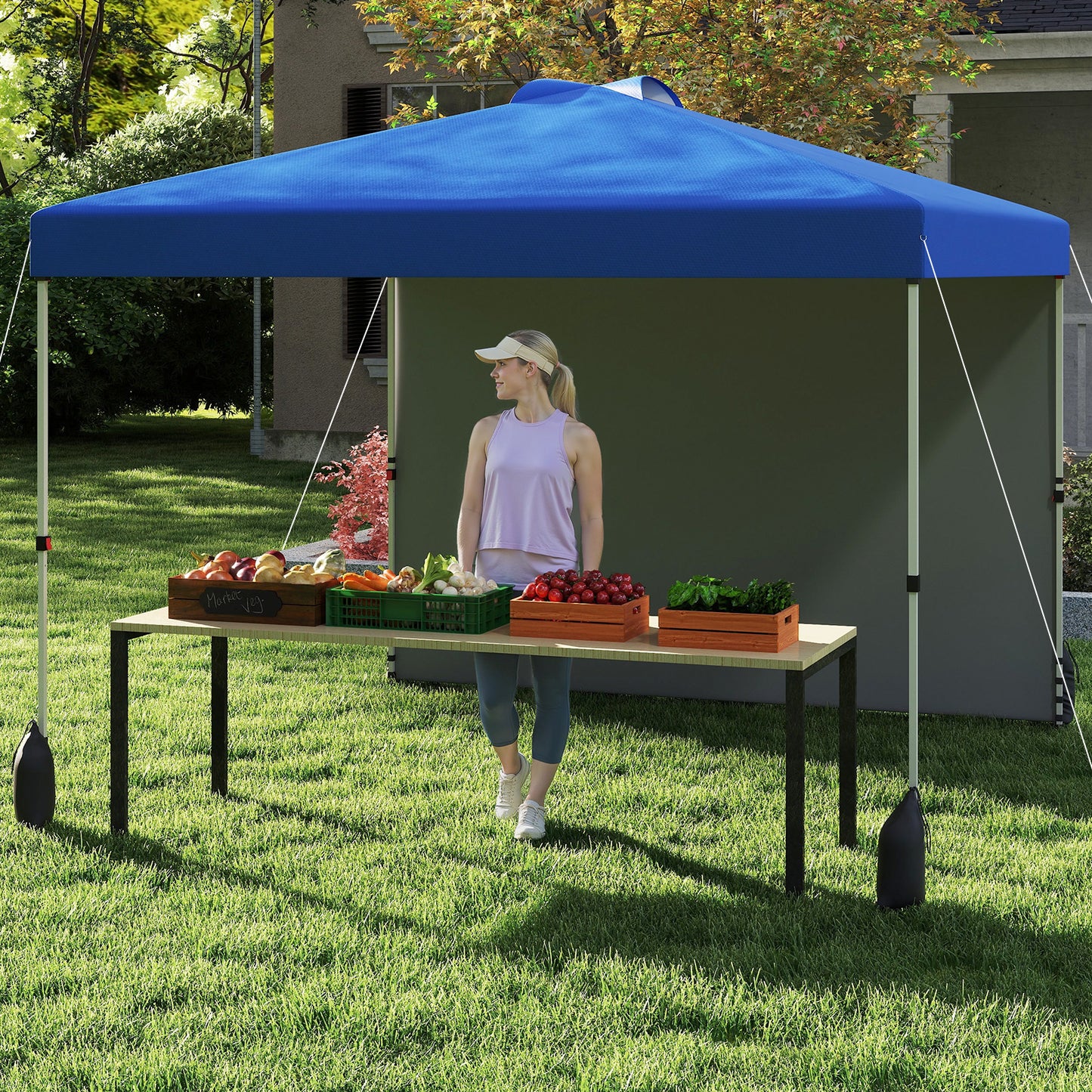 10 X 10 FT Pop Up Canopy Tent, With Sidewall And Wheeled Bag, Blue Canopies at Gallery Canada