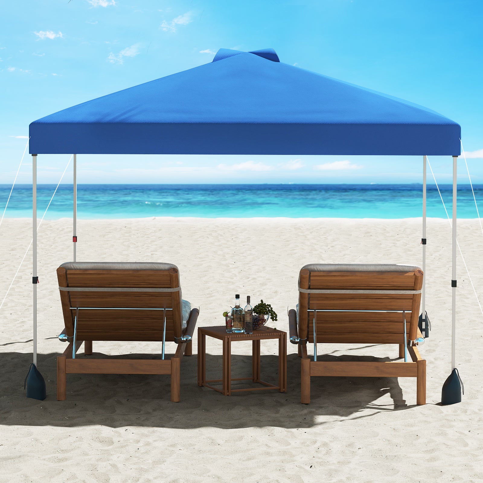 10 X 10 FT Pop Up Canopy Tent, With Sidewall And Wheeled Bag, Blue Canopies at Gallery Canada