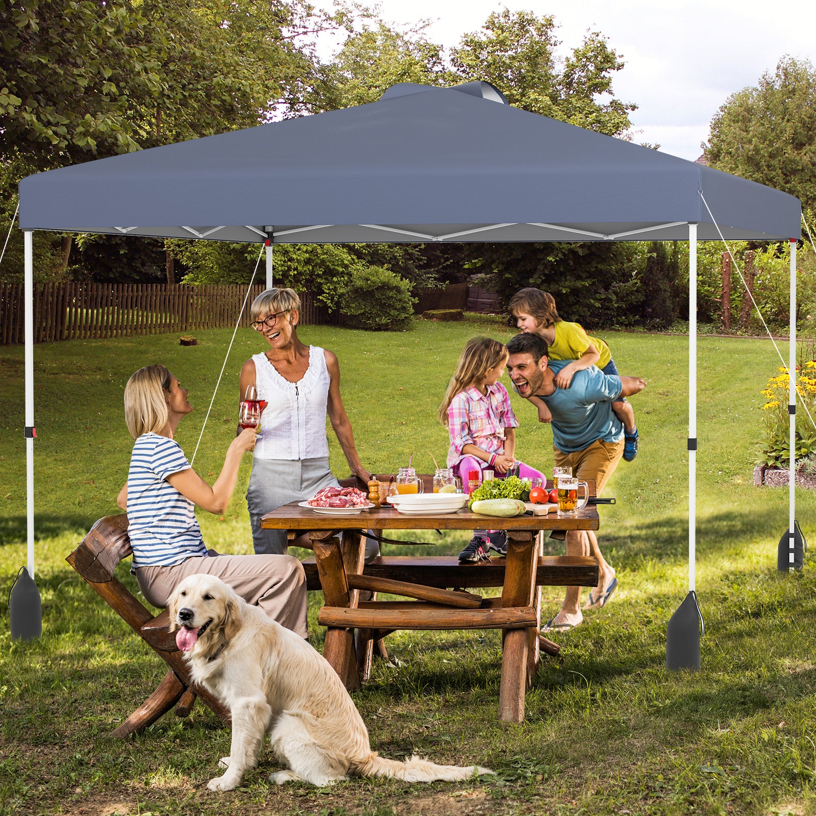 10 X 10 FT Pop Up Canopy Tent, With Sidewall And Wheeled Bag, Gray Canopies at Gallery Canada
