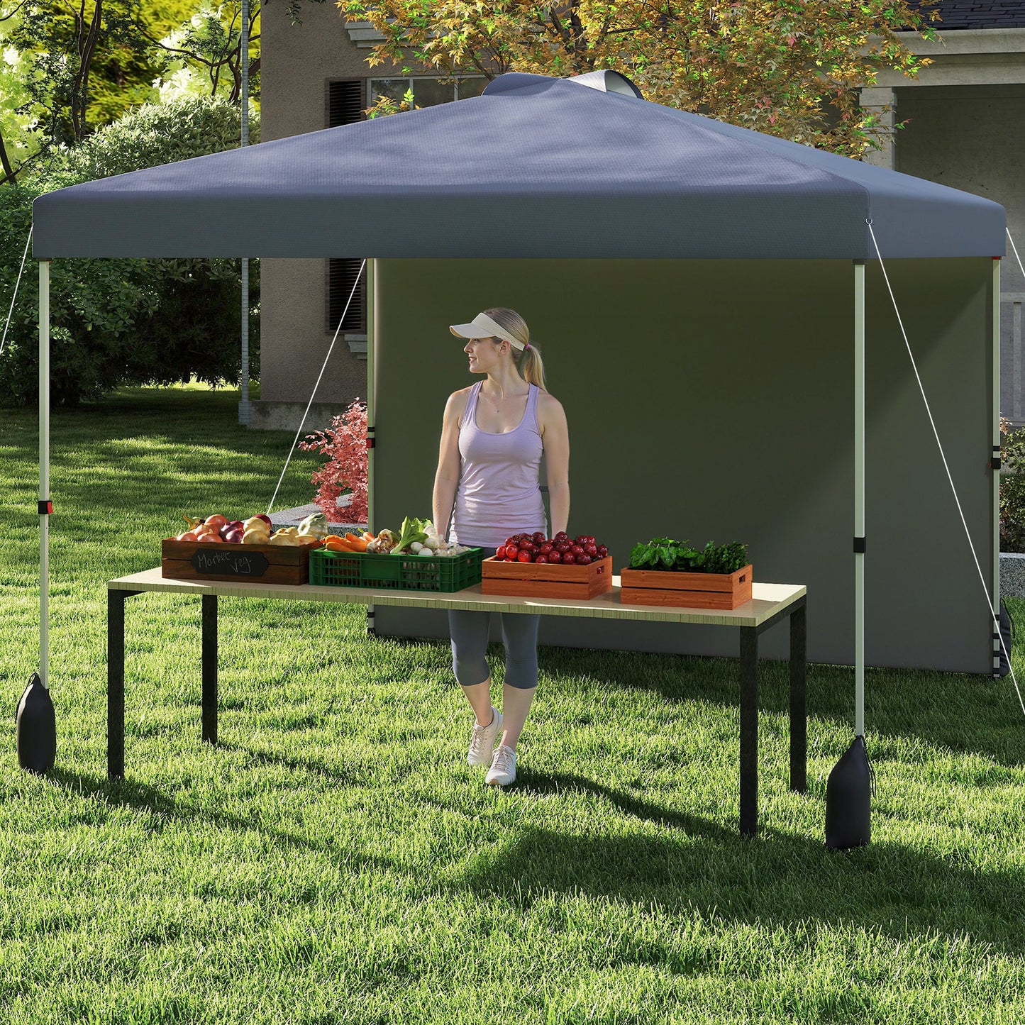 10 X 10 FT Pop Up Canopy Tent, With Sidewall And Wheeled Bag, Gray Canopies at Gallery Canada