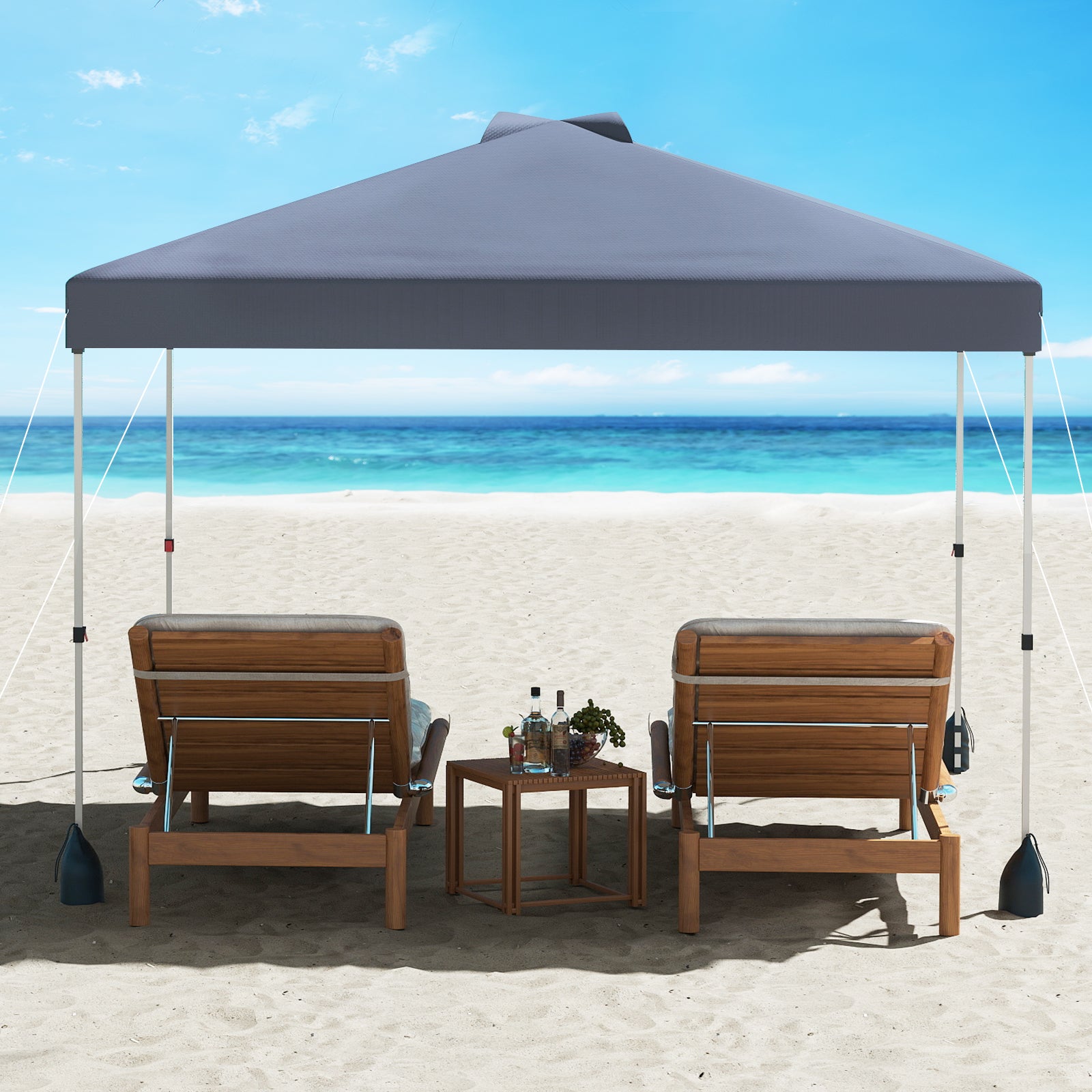 10 X 10 FT Pop Up Canopy Tent, With Sidewall And Wheeled Bag, Gray Canopies at Gallery Canada