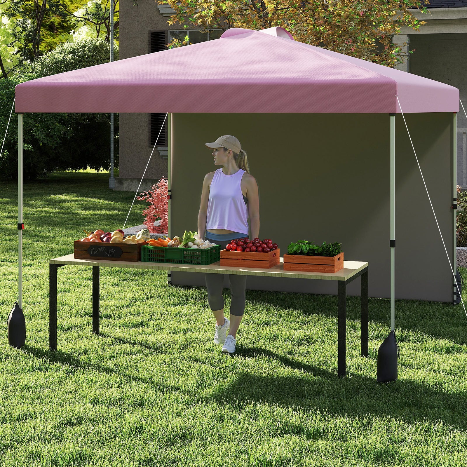 10 X 10 FT Pop Up Canopy Tent With Sidewall, Wheeled Bag, Pink Canopies at Gallery Canada