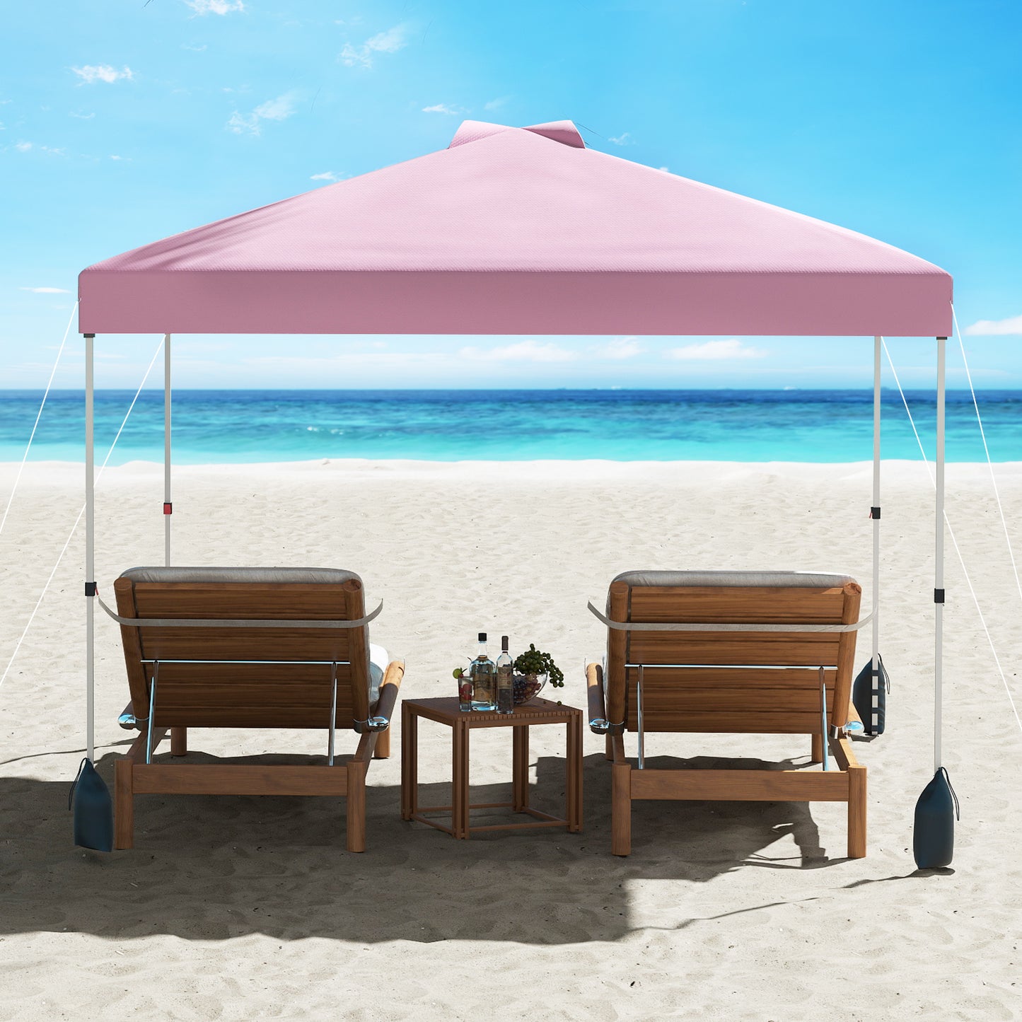 10 X 10 FT Pop Up Canopy Tent With Sidewall, Wheeled Bag, Pink Canopies at Gallery Canada