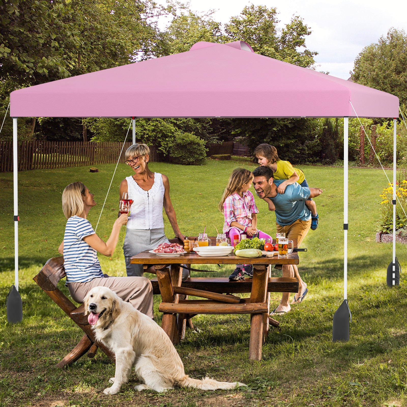 10 X 10 FT Pop Up Canopy Tent With Sidewall, Wheeled Bag, Pink Canopies at Gallery Canada