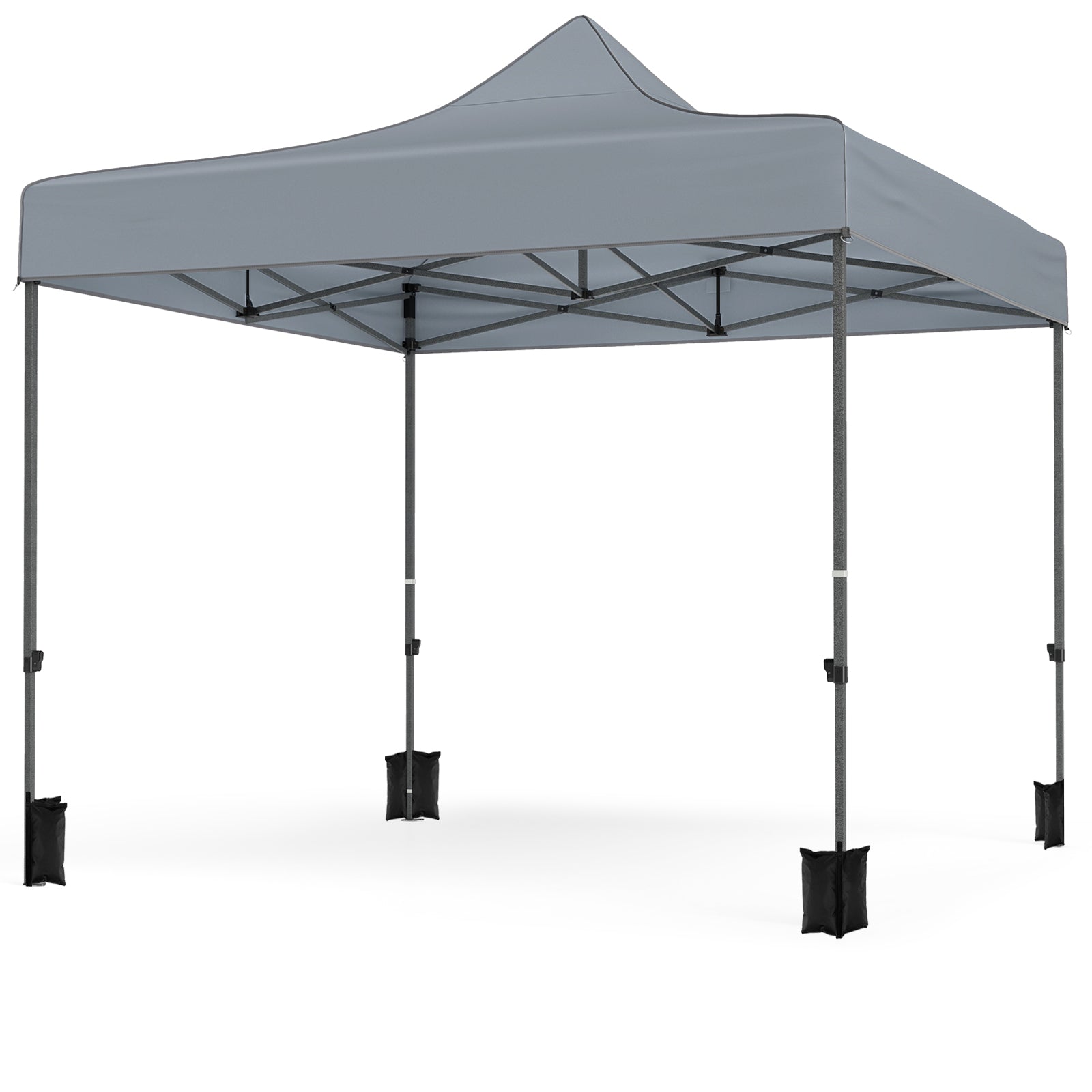 10 x 10 FT Pop Up Canopy Tent, 4 Removable Sidewalls, Wheeled Bag, Gray Canopies at Gallery Canada