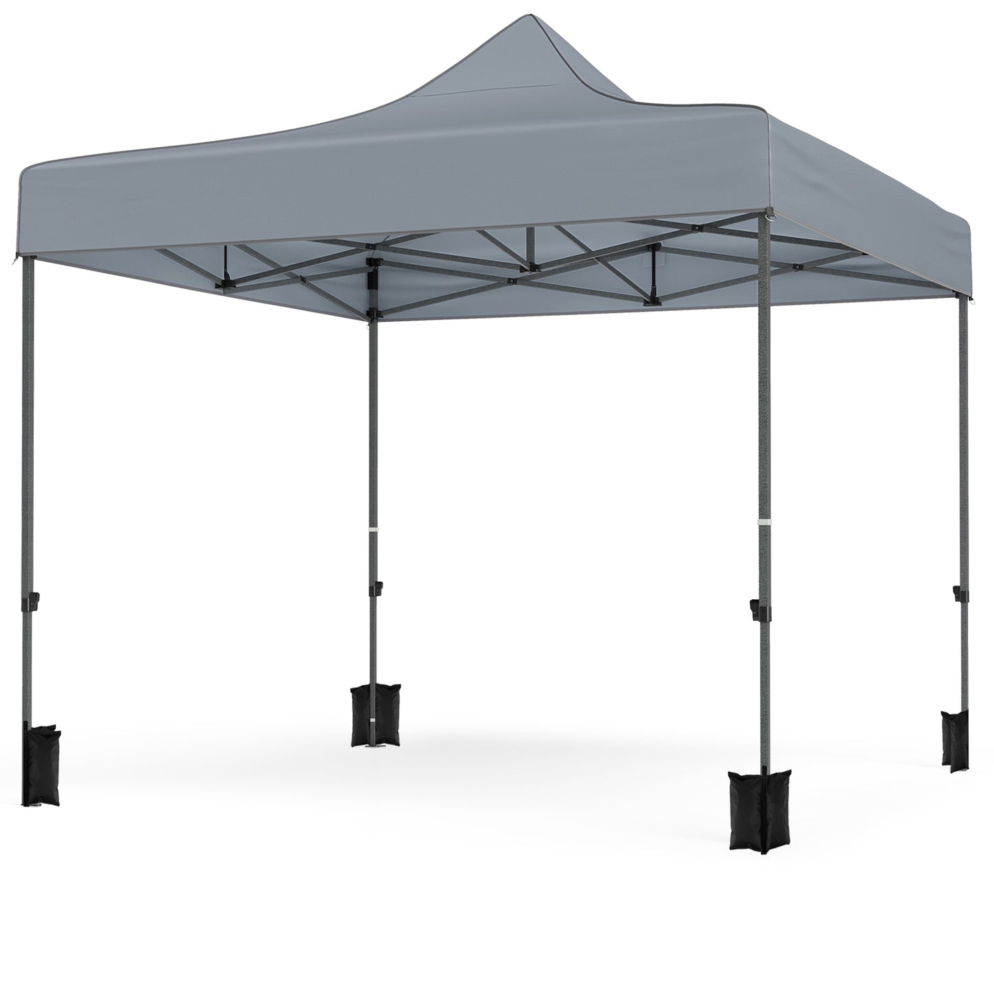 10 x 10 FT Pop Up Canopy Tent, 4 Removable Sidewalls, Wheeled Bag, Gray Canopies at Gallery Canada