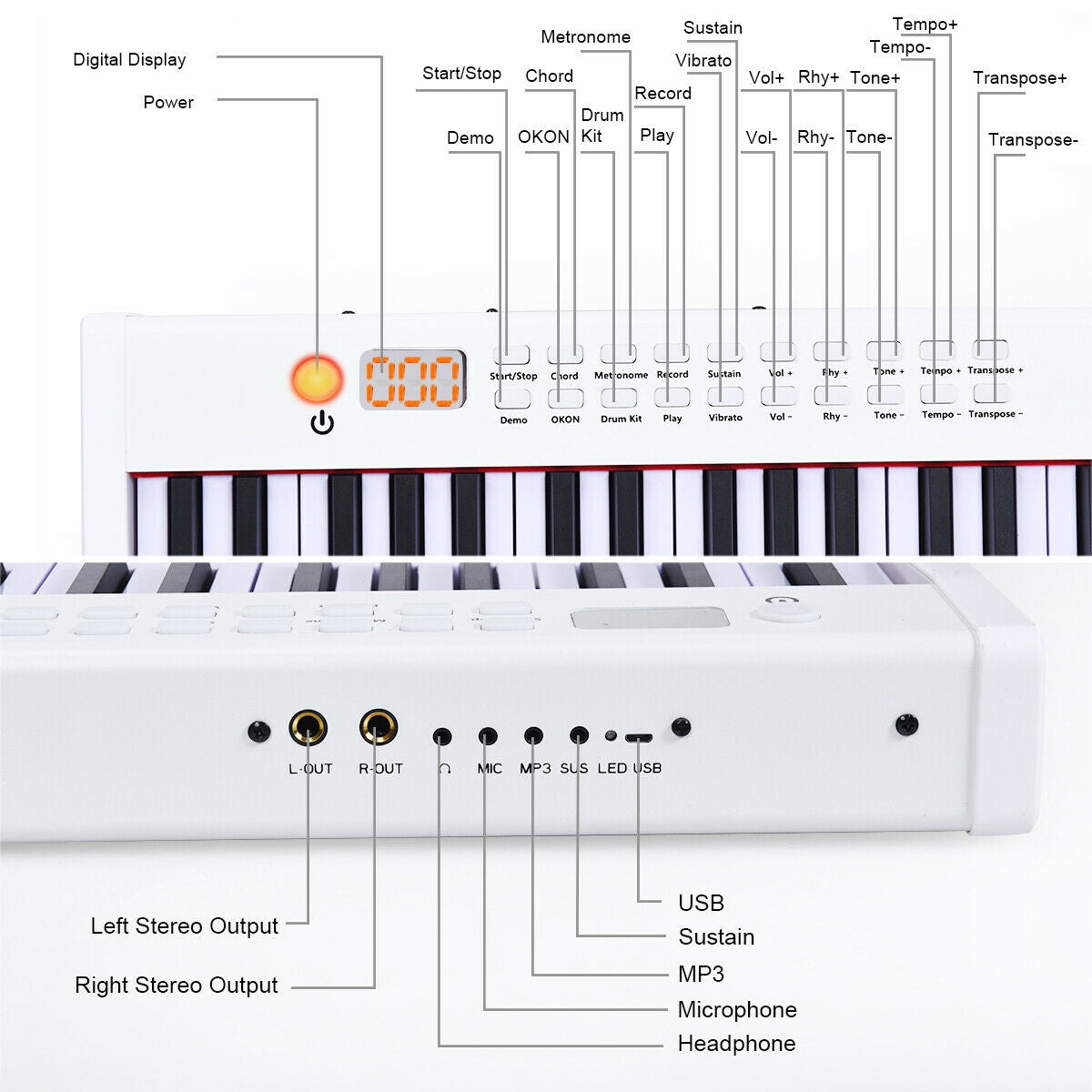 BX-II 88-Key Portable Digital Piano, White