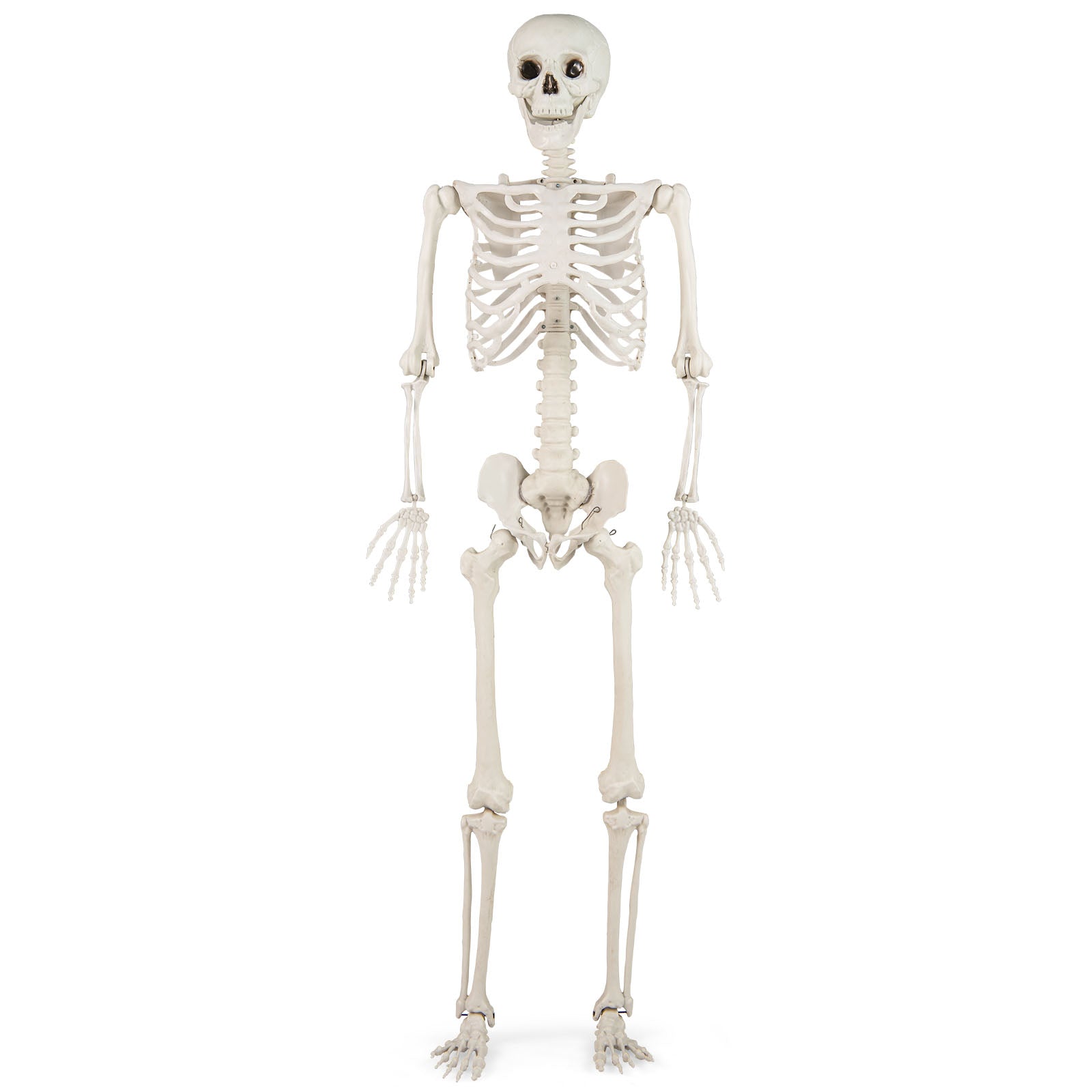 5.4 FT Life Size Large Halloween Skeleton Decoration, White Halloween White at Gallery Canada