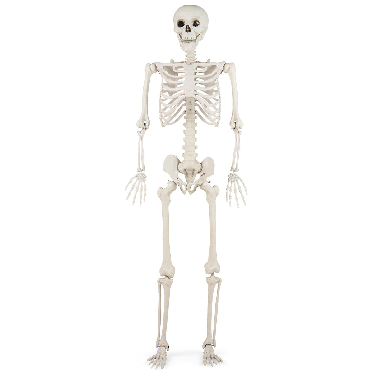 5.4 FT Life Size Large Halloween Skeleton Decoration, White Halloween White at Gallery Canada