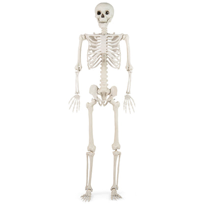 5.4 FT Life Size Large Halloween Skeleton Decoration, White Halloween White at Gallery Canada