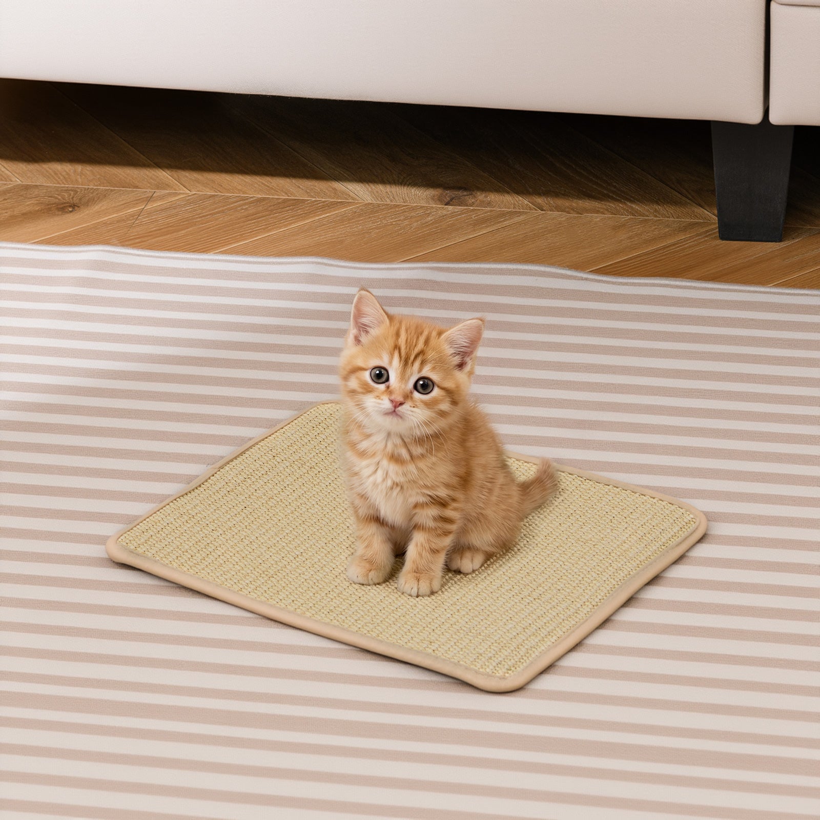 Cat Scratcher Mat Set, 12 Pieces 16 x 12 Inch, Natural Sisal Pads Cat Trees Condos & Scratchers at Gallery Canada
