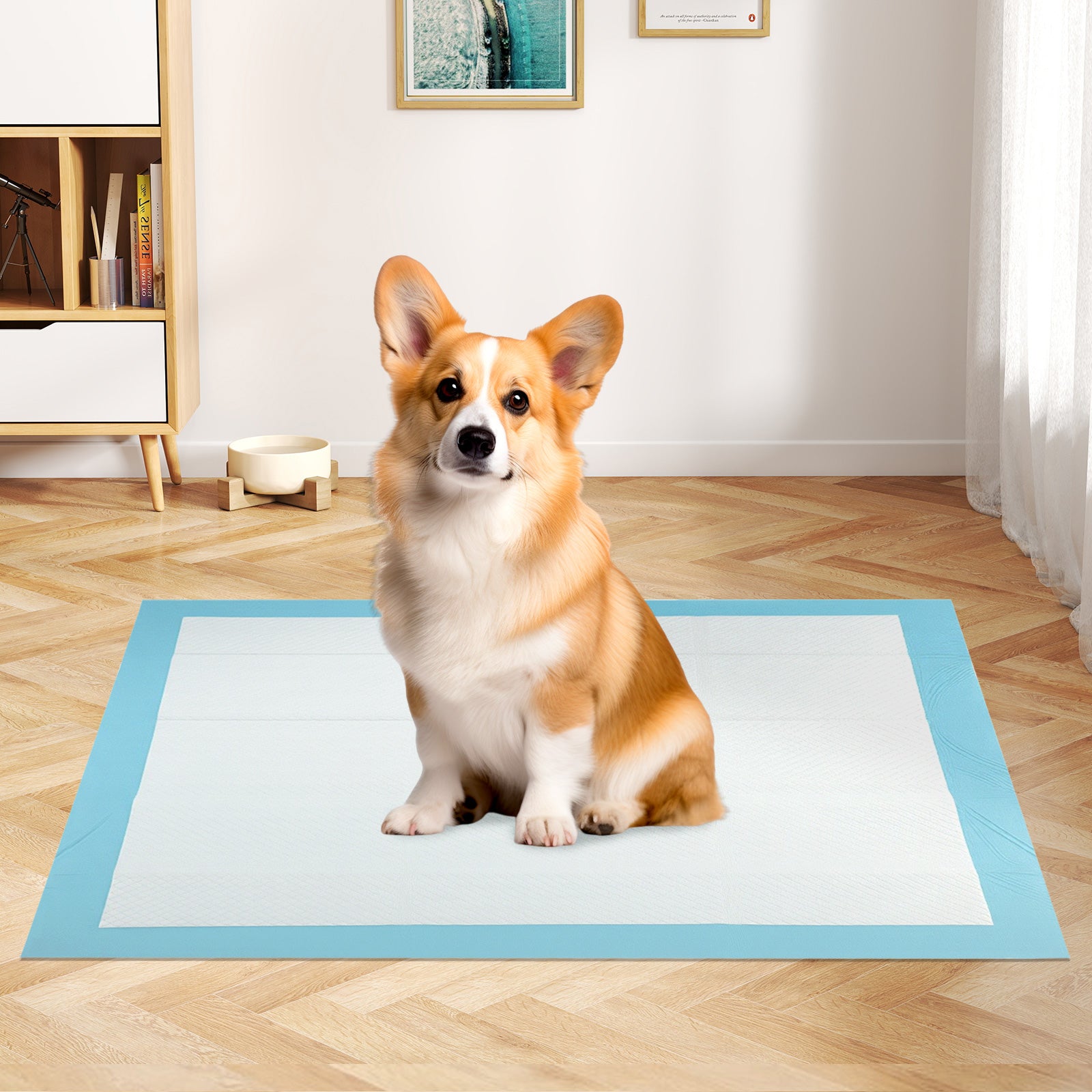 150 Pieces 24 x 36 Inch Pet Wee Pee Piddle Pad-S, Light Blue Dog Supplies at Gallery Canada