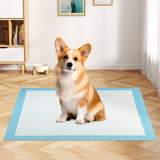 150 Pieces 24 x 36 Inch Pet Wee Pee Piddle Pad-S, Light Blue Dog Supplies Light Blue at Gallery Canada