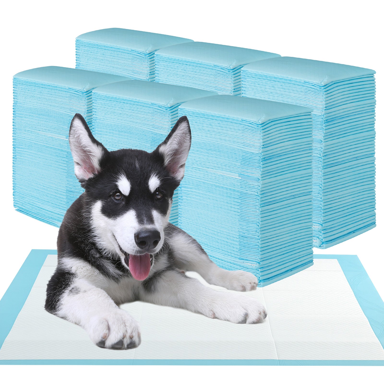 150 Pieces 24 x 36 Inch Pet Wee Pee Piddle Pad-S, Light Blue Dog Supplies at Gallery Canada