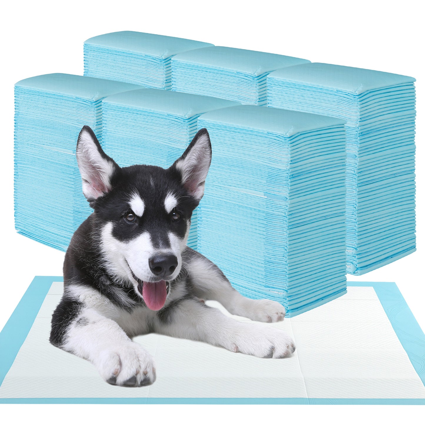 150 Pieces 24 x 36 Inch Pet Wee Pee Piddle Pad-S, Light Blue Dog Supplies at Gallery Canada