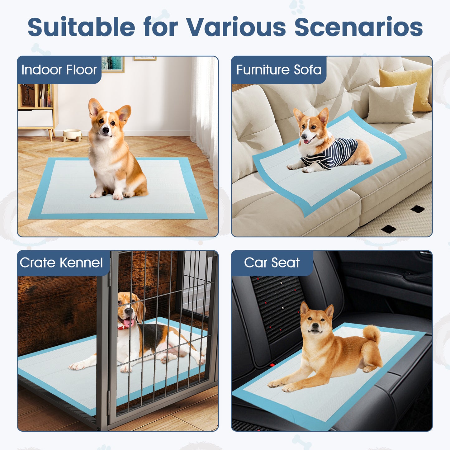 150 Pieces, 24 x 36 Inch Pet Pad, Light Blue Dog Supplies at Gallery Canada