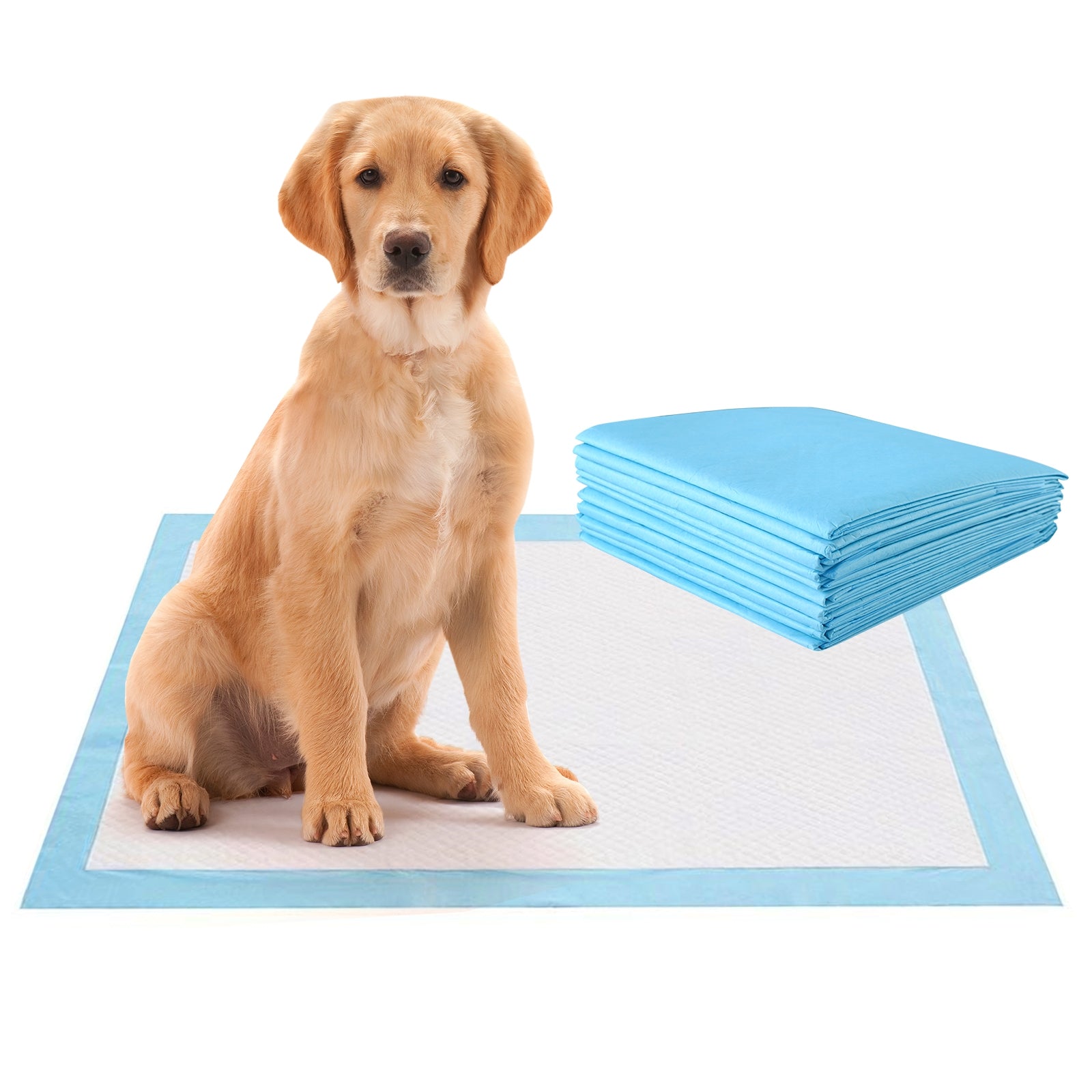 150 pieces 30 x 30 Inch Pet Wee Pee Piddle Pad, Light Blue Dog Supplies at Gallery Canada