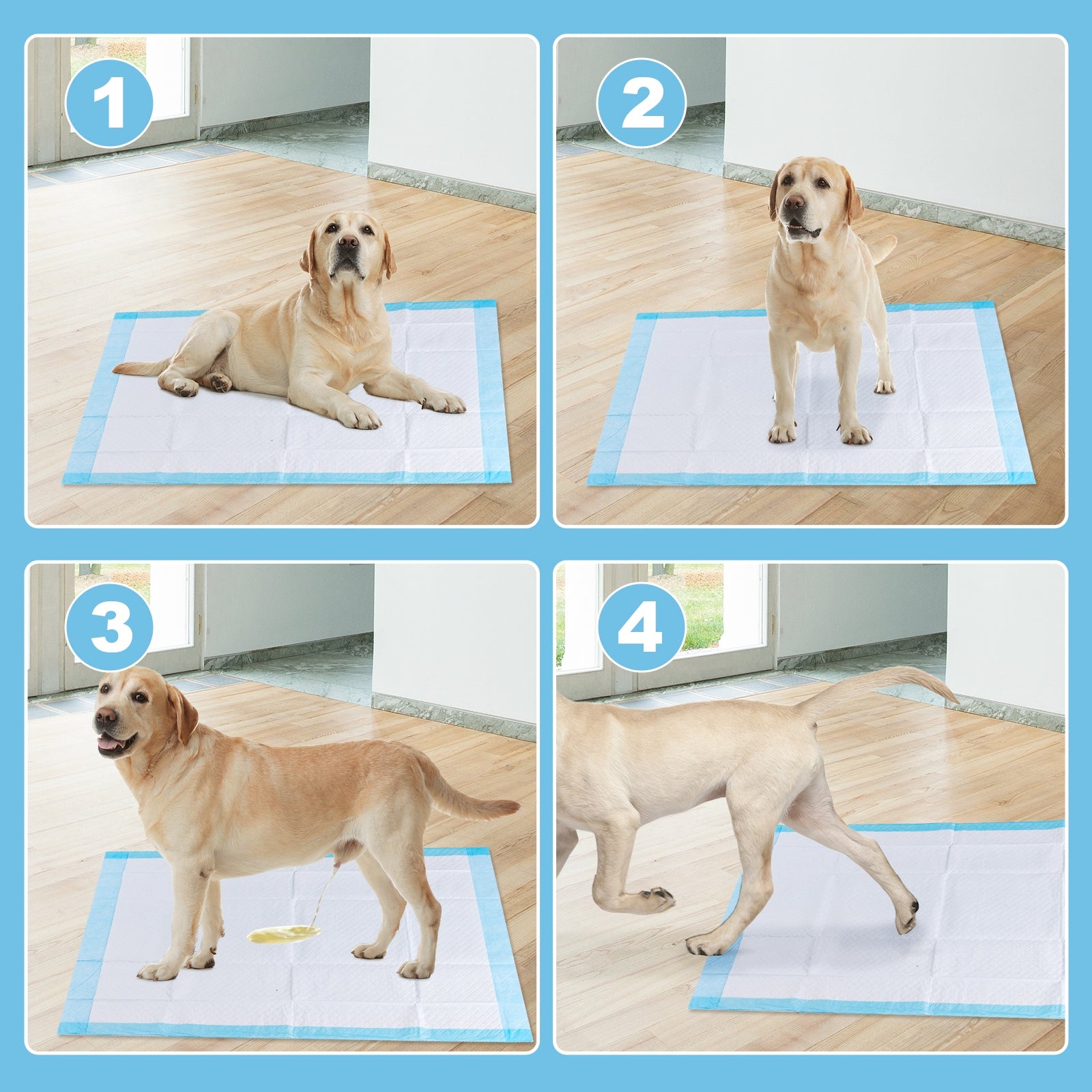 150 pieces 30 x 30 Inch Pet Wee Pee Piddle Pad, Light Blue Dog Supplies at Gallery Canada