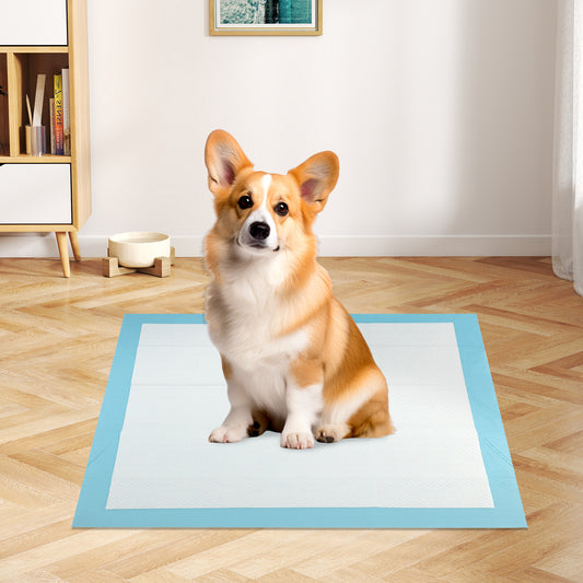 30 x 30 Inch Pet Pee Pad, 150 Pieces, Light Blue Dog Supplies Light Blue at Gallery Canada