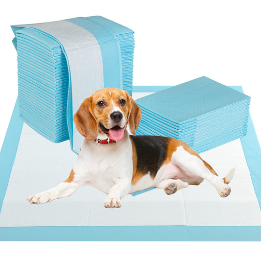 30 x 30 Inch Pet Pee Pad, 150 Pieces, Light Blue Dog Supplies Light Blue at Gallery Canada