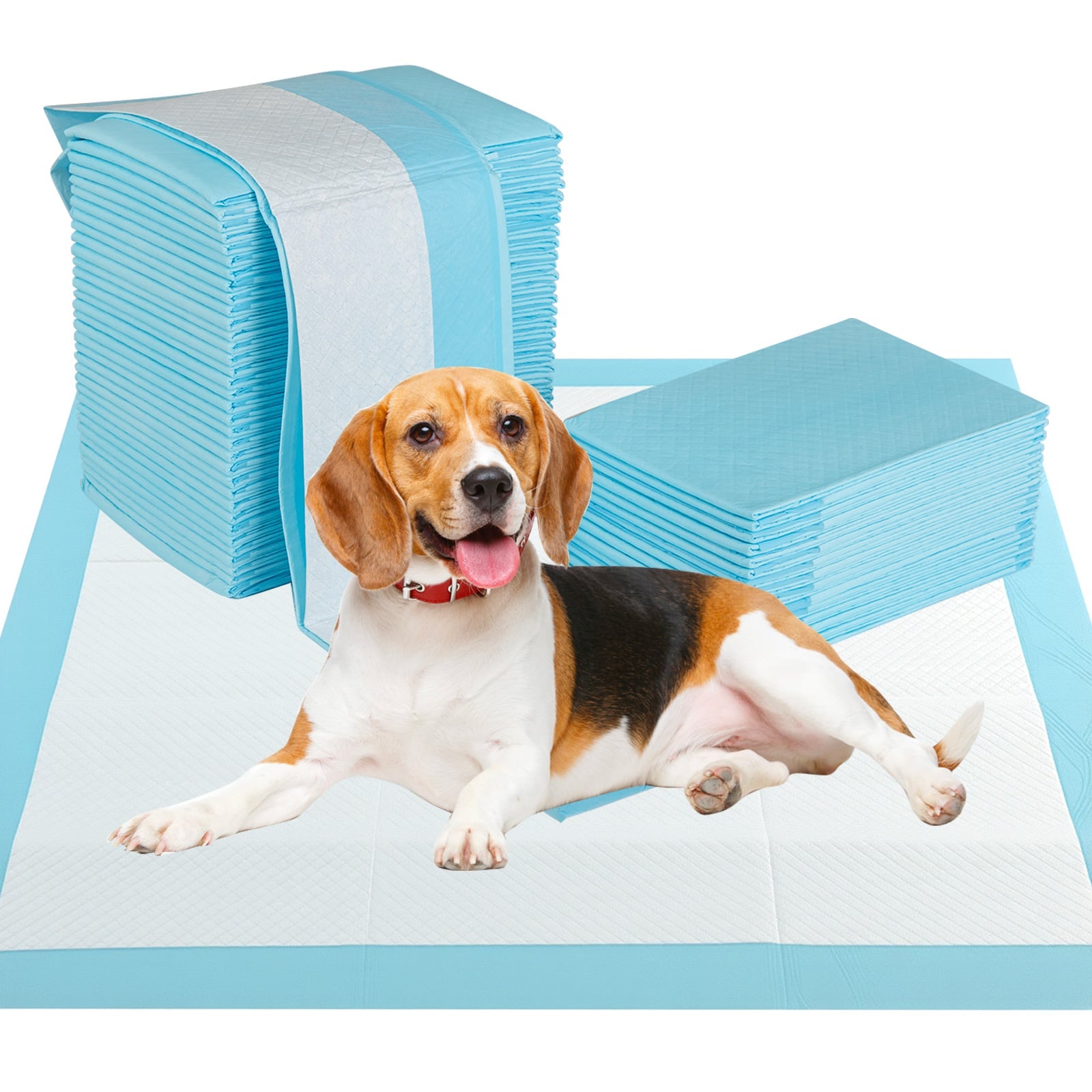 30 x 30 Inch Pet Pee Pad, 150 Pieces, Light Blue Dog Supplies at Gallery Canada