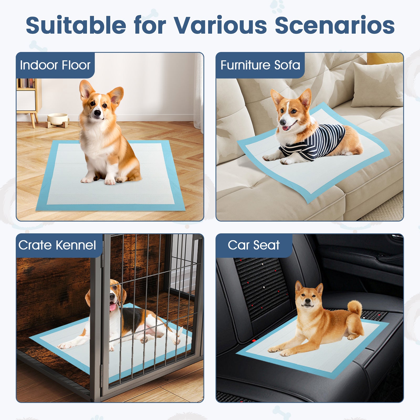 30 x 30 Inch Pet Pee Pad, 150 Pieces, Light Blue Dog Supplies at Gallery Canada
