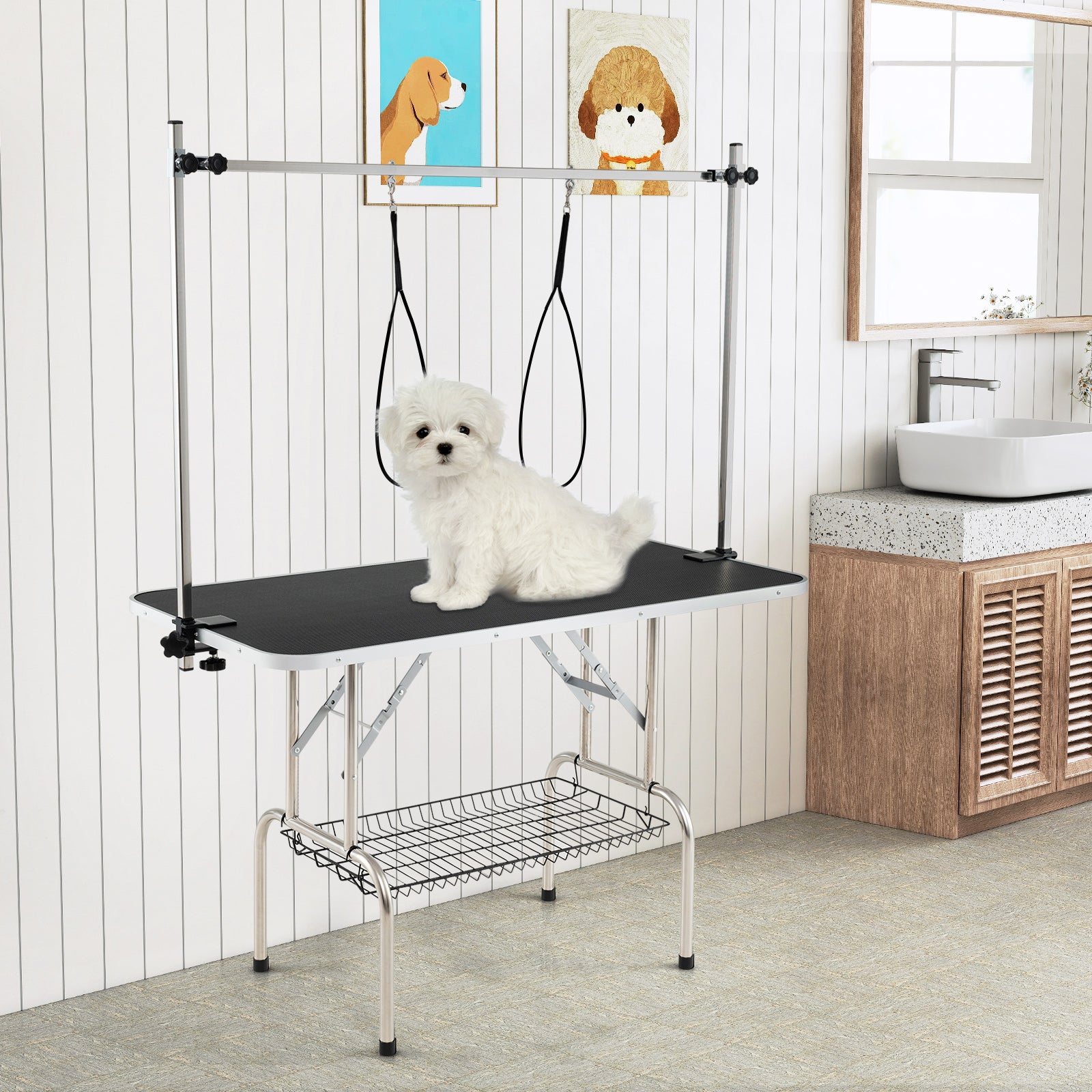 Foldable Dog Grooming Table, Height Adjustable Arms, Black Dog Supplies at Gallery Canada