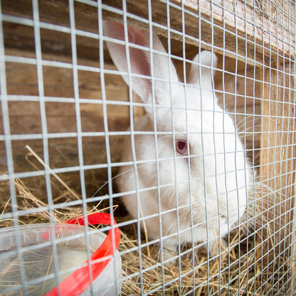 Hardware Cloth Galvanized Chicken Wire Welded Fence Mesh Roll Decorative Fencing & Flooring at Gallery Canada