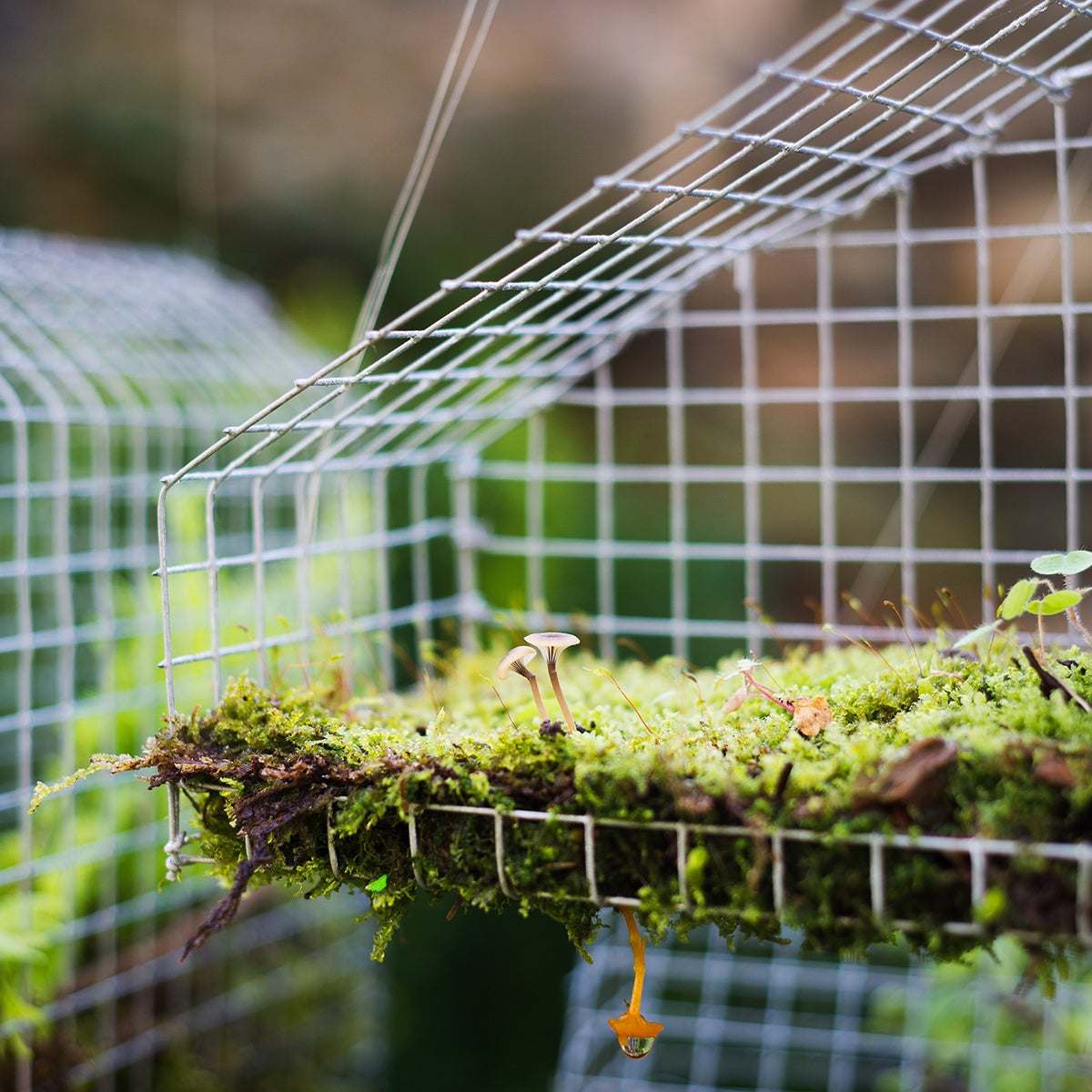 Hardware Cloth Galvanized Chicken Wire Welded Fence Mesh Roll Decorative Fencing & Flooring at Gallery Canada