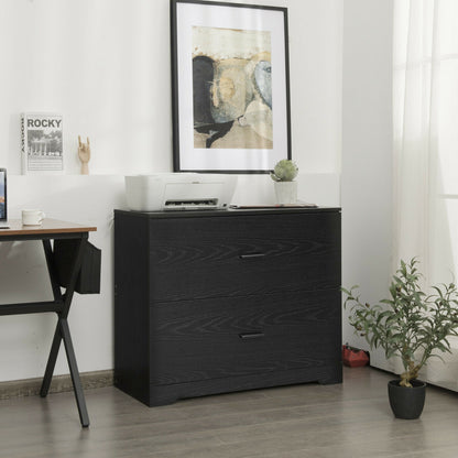 2-Drawer Lateral File Cabinet with Adjustable Bars for Home and Office, Black File Cabinets at Gallery Canada