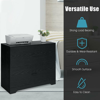 2-Drawer Lateral File Cabinet with Adjustable Bars for Home and Office, Black File Cabinets at Gallery Canada