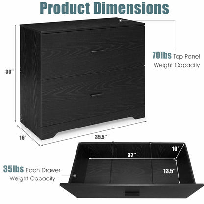 2-Drawer Lateral File Cabinet with Adjustable Bars for Home and Office, Black File Cabinets at Gallery Canada