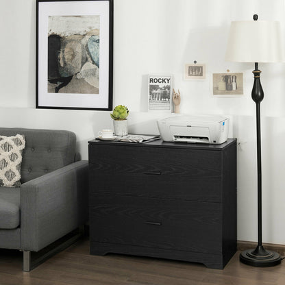 2-Drawer Lateral File Cabinet with Adjustable Bars for Home and Office, Black File Cabinets at Gallery Canada