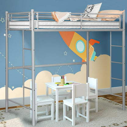 Twin Loft Bed Frame with 2 Ladders Full-length Guardrail, Silver - Gallery Canada