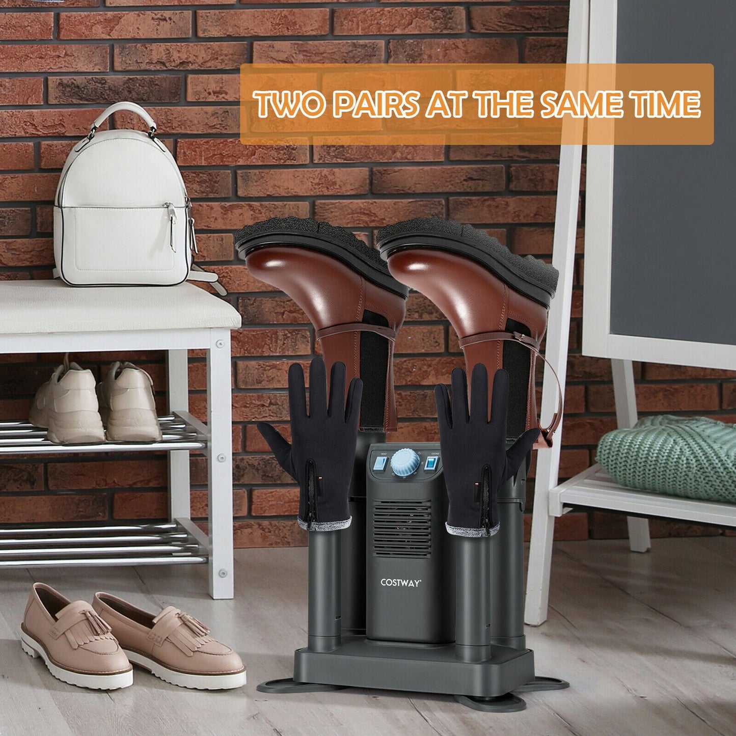 Electric Shoe Boot Dryer 4 Shoes with 180 Mins Timer Ozone Disinfection, Gray Dryers at Gallery Canada