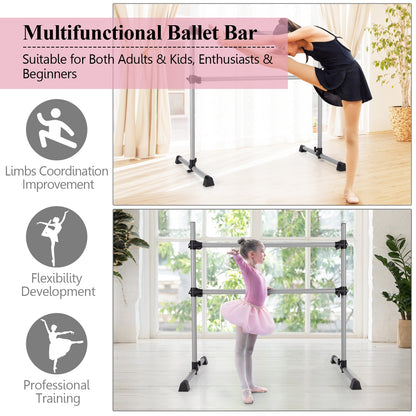 4 Feet Portable Double Freestanding Barre Dancing Stretching, Silver Yoga Accessories at Gallery Canada