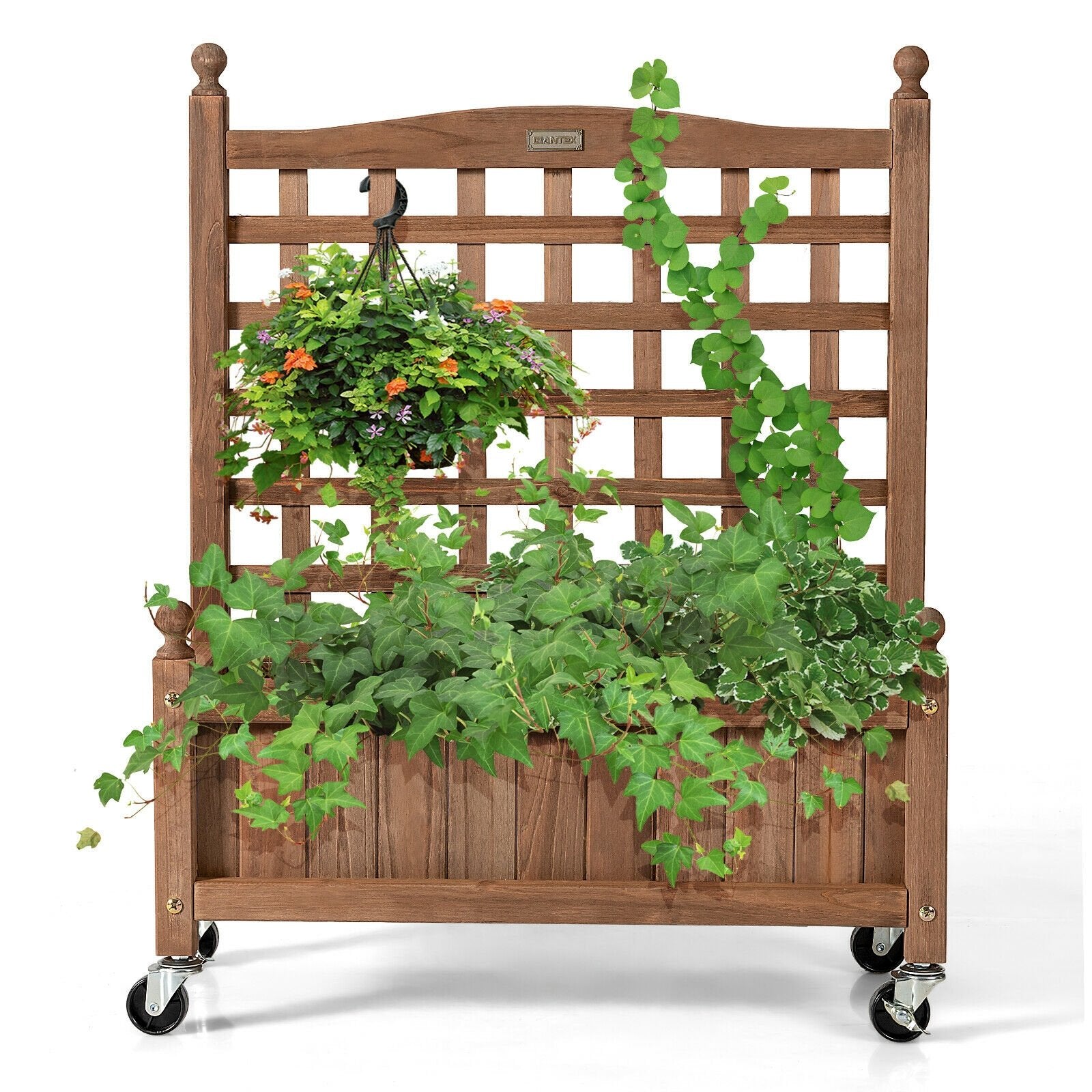 32in Wood Planter Box with Trellis Mobile Raised Bed for Climbing Plant, Brown - Gallery Canada