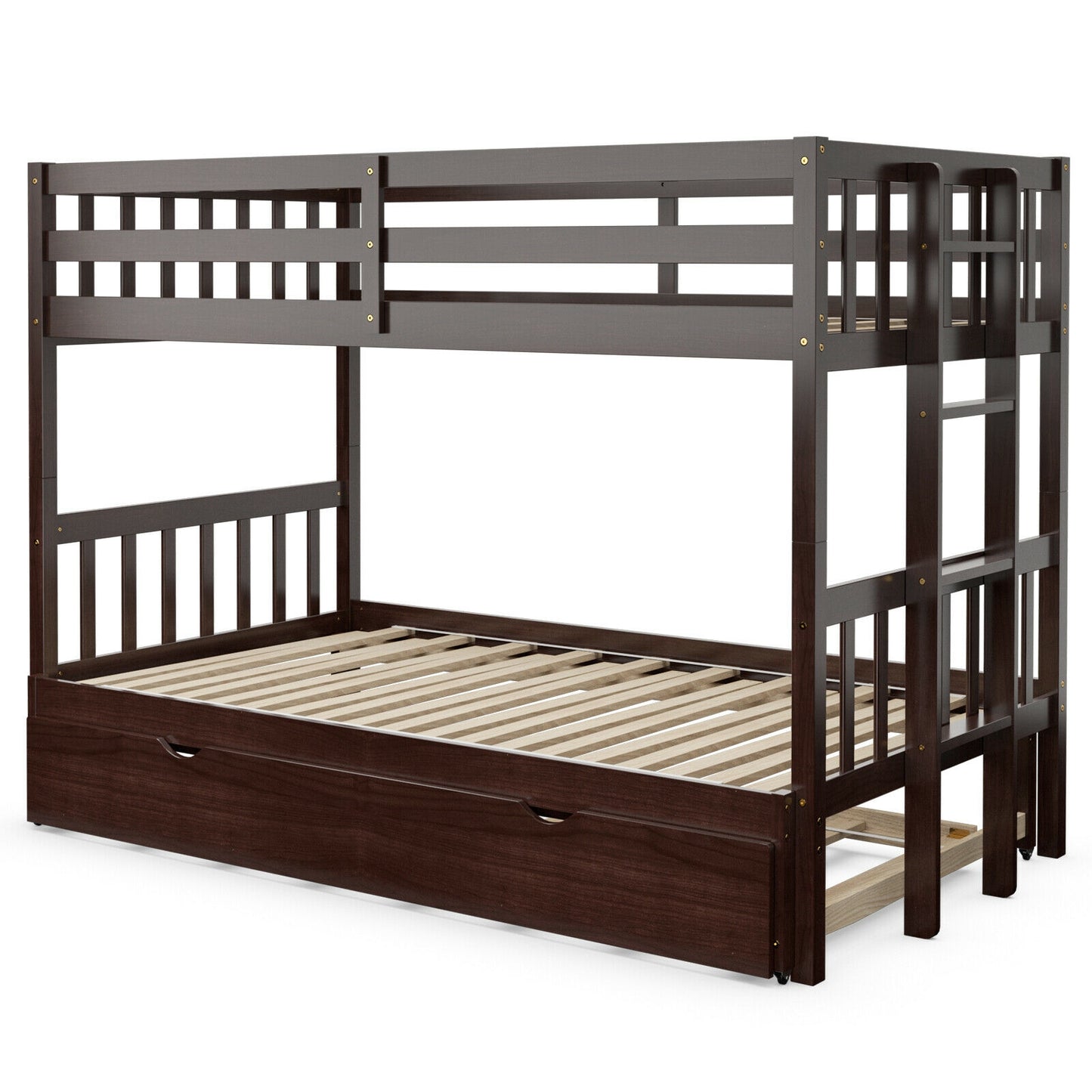 Twin Pull-Out Bunk Bed with Trundle Wooden Ladder, Dark Brown Bunk Bed Frame at Gallery Canada
