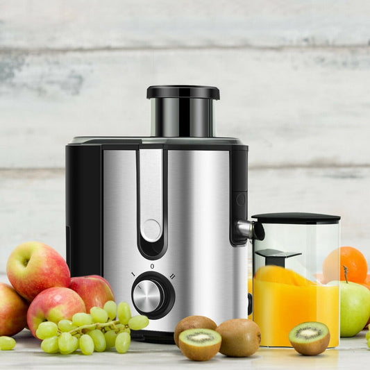 Centrifugal Juicer Machine Juicer Extractor Dual Speed, Silver Juicers & Coffee Machines Silver at Gallery Canada