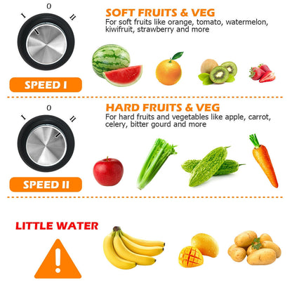 Centrifugal Juicer Machine Juicer Extractor Dual Speed, Silver Juicers & Coffee Machines at Gallery Canada