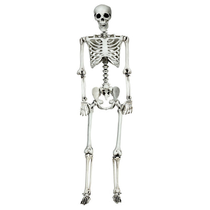 5.4 Feet Halloween Skeleton, Life Size, Realistic Full Body, White