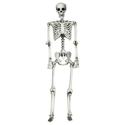 5.4 Feet Halloween Skeleton Life Size Realistic Full Body Hanging, White Halloween White at Gallery Canada