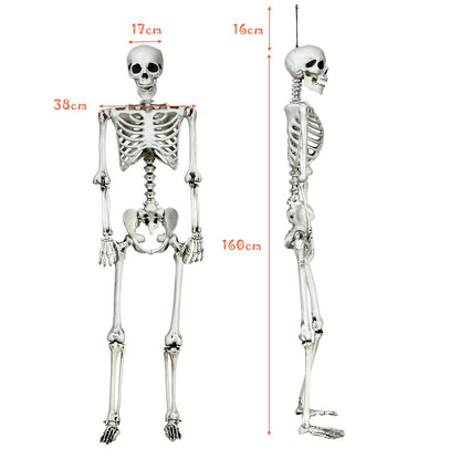 5.4 Feet Halloween Skeleton Life Size Realistic Full Body Hanging, White Halloween at Gallery Canada