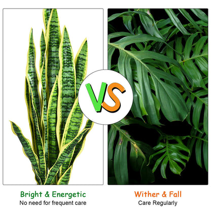 35.5 Inch Artificial Snake Plant, Green Faux Plants at Gallery Canada