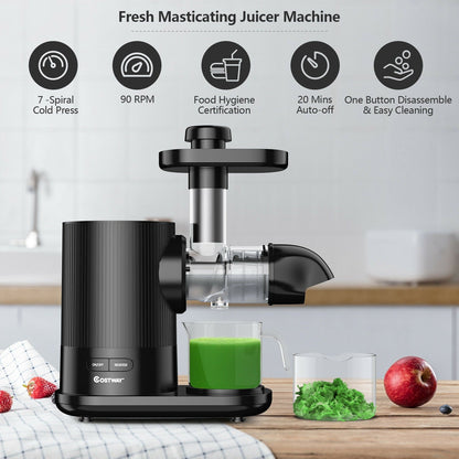 Horizontal Slow Masticating Extractor Juicer with Brush, Black - Gallery Canada