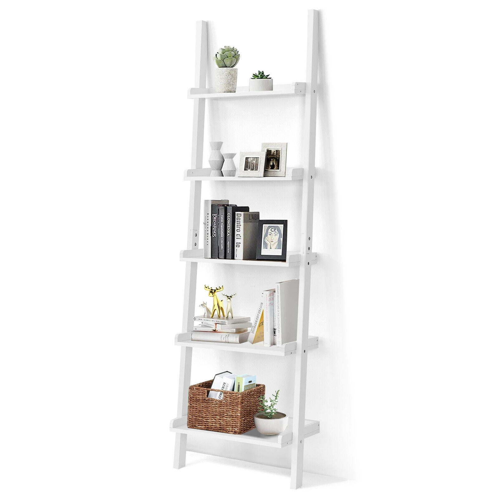 5-Tier Wall-leaning Ladder Shelf Display Rack for Plants and Books, White Bookcases at Gallery Canada