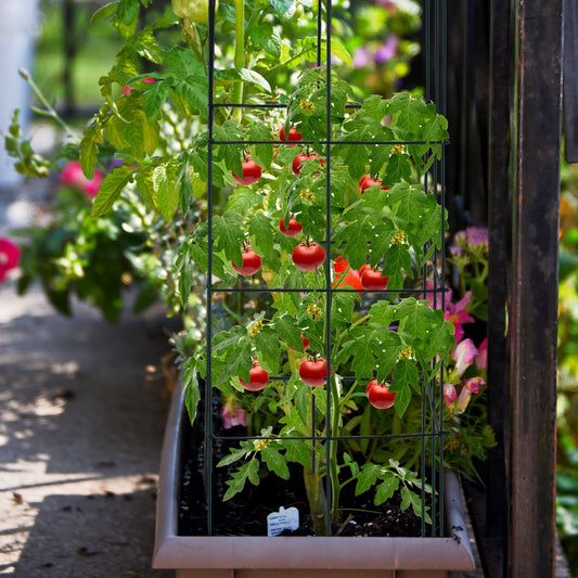 4 Pack Garden Trellis for Climbing Plants for Flower Vegetable, Black - Gallery Canada